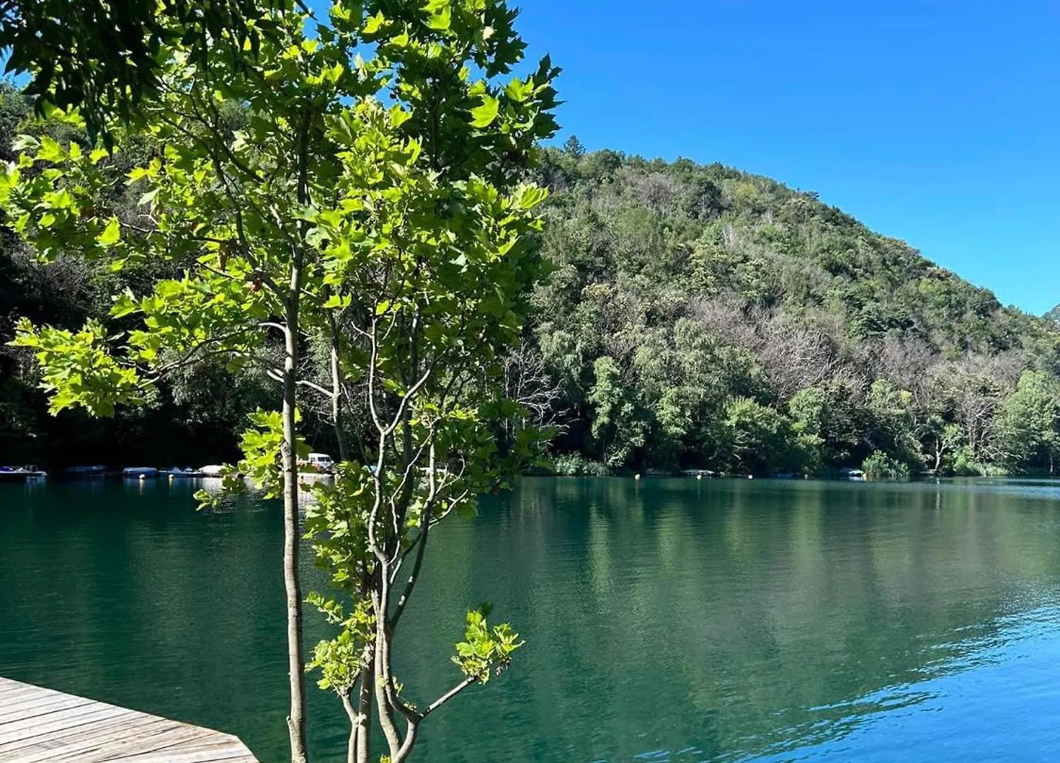 Casa Vacanze 